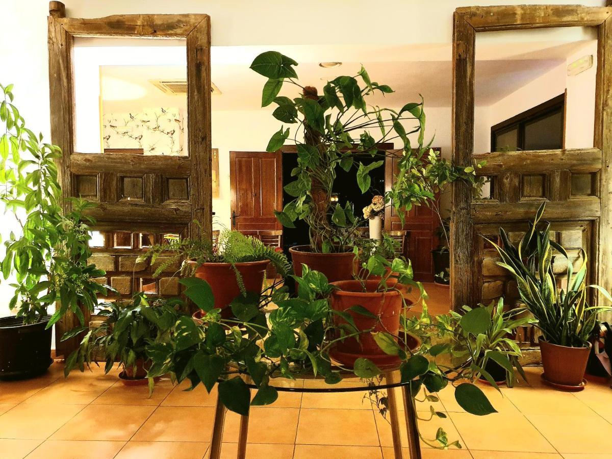 El Rincon De La Espe Hotel Albalate De Zorita Bagian luar foto