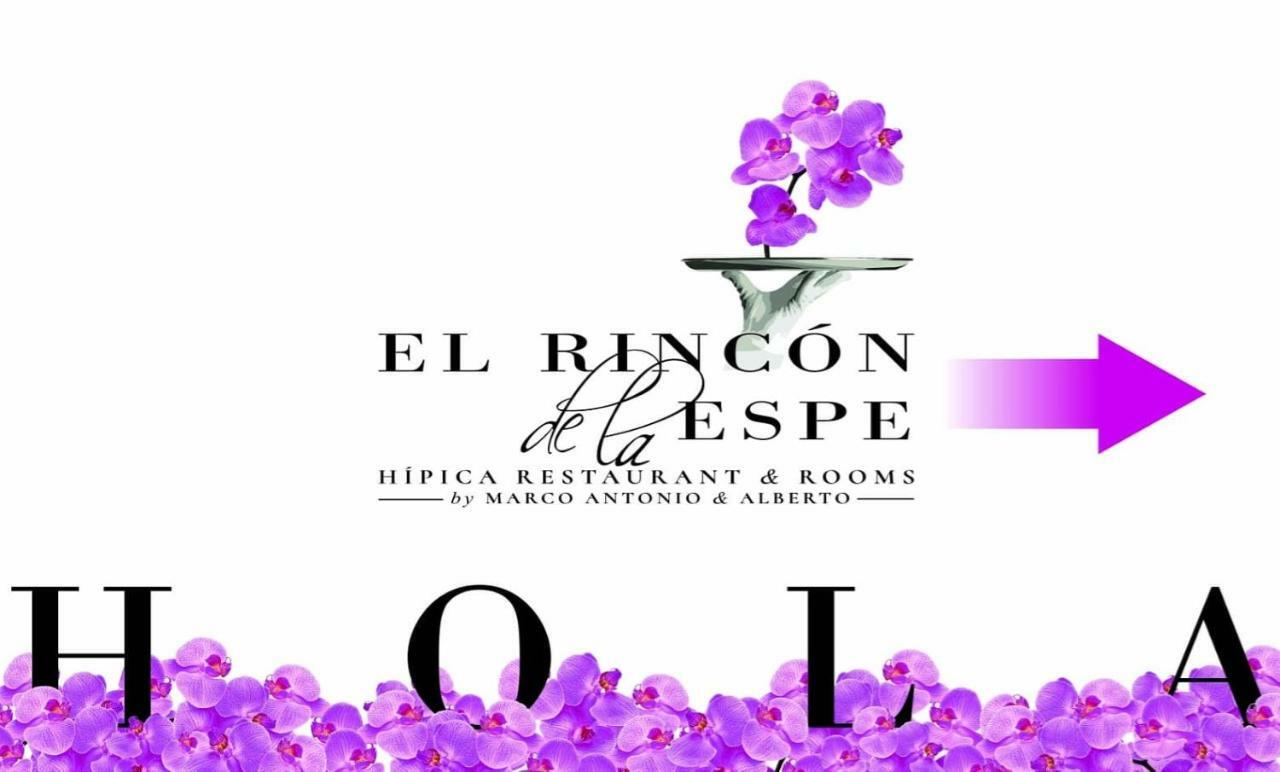 El Rincon De La Espe Hotel Albalate De Zorita Bagian luar foto